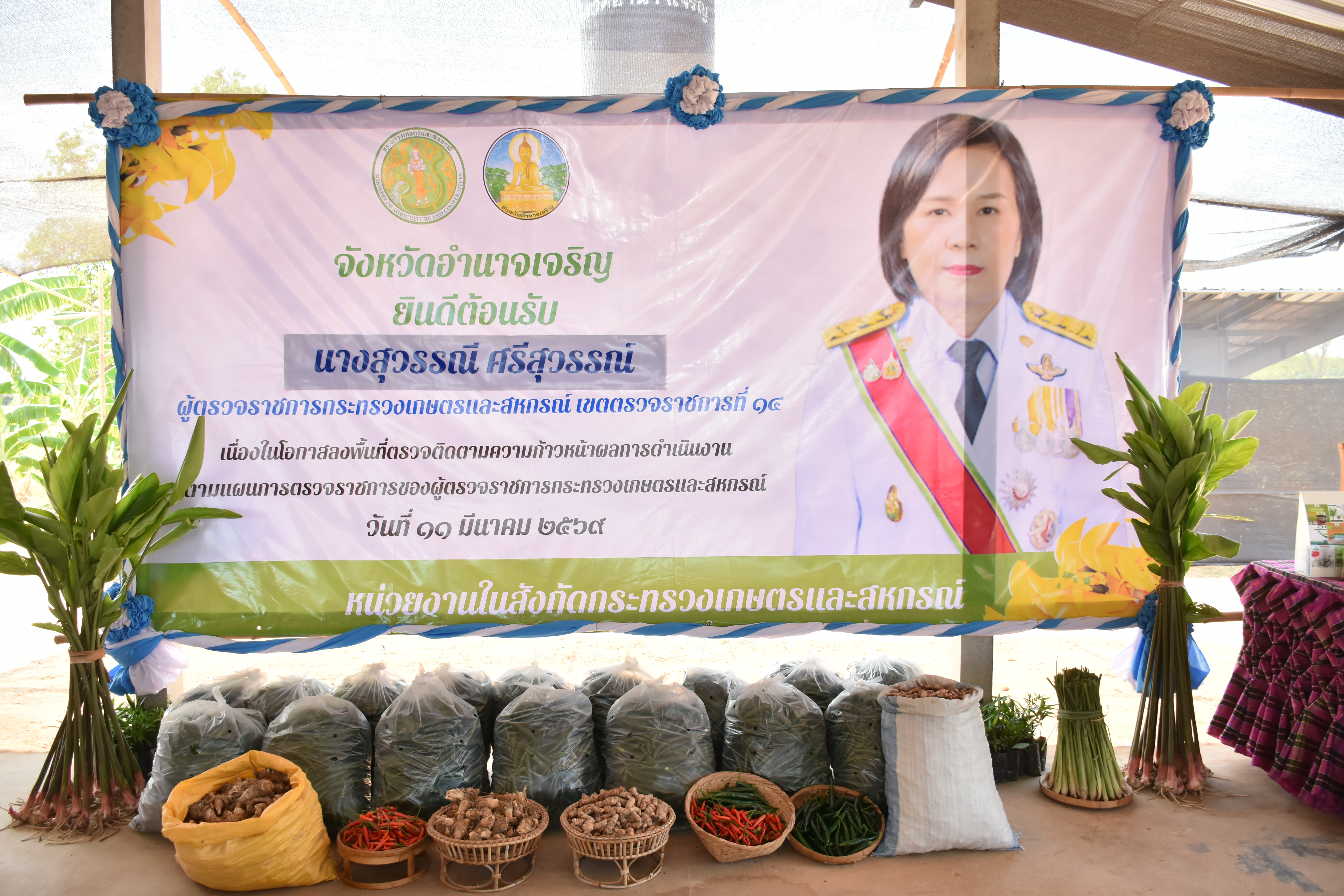 title - ผู้ตรวจราชการกระทรวงเกษตรและสหกรณ์ เขตตรวจราชการที่ 14 (นางสุวรรณี ศรีสุวรรณ์) และคณะผู้ตรวจราชการกรม ลงพื้นที่ตรวจติดตามนโยบายยกระดับสินค้าเกษตรและบริการมูลค่าสูง การพัฒนาสินค้าเกษตรมูลค่าสูง โครงการส่งเสริมและพัฒนาสินค้าเกษตรชีวภาพ (สมุนไพร) ณ แปลงใหญ่สมุนไพร หมู่ 10 บ้านห้วยร่องคำ ตำบลกุดปลาดุก อำเภอเมืองอำนาจเจริญ จังหวัดอำนาจเจริญ